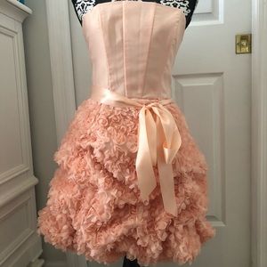 Jessica McClintock dress